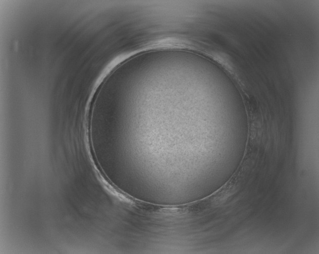 X0000052601478200507011143