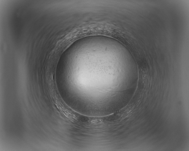 X0000052601489200507011142
