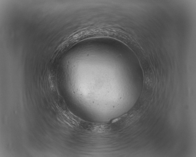 X0000052601490200507011143