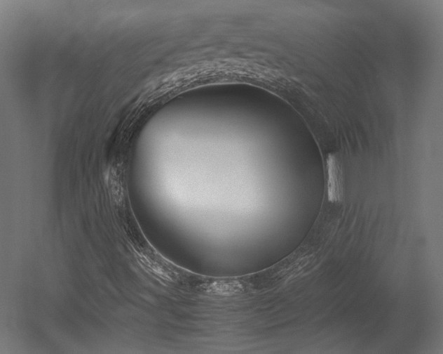 X0000052601491200507011143