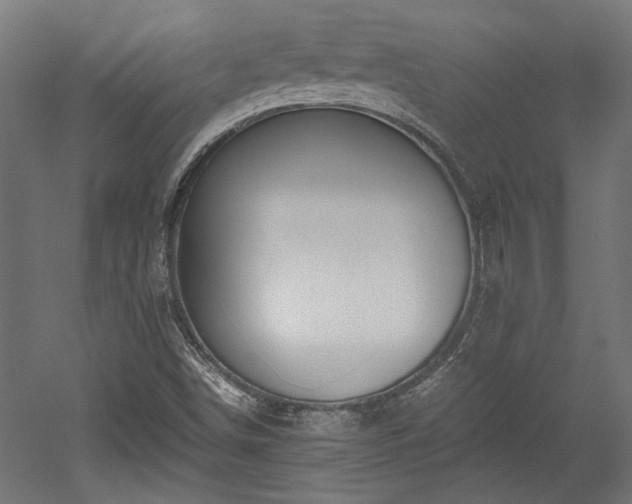 X0000052601498200507011143