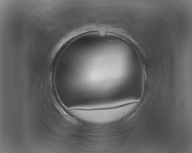 X0000052601503200507011143