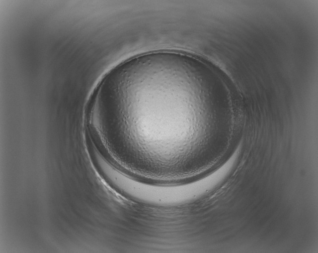 X0000052601508200507011143