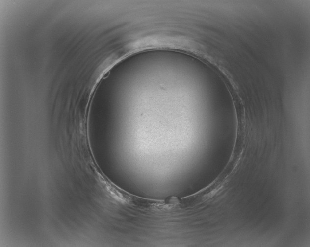 X0000052601529200507011143