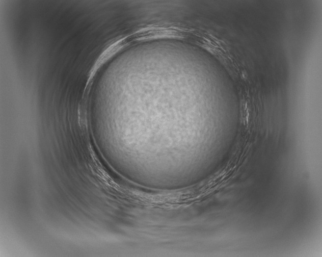 X0000052600004200507081832