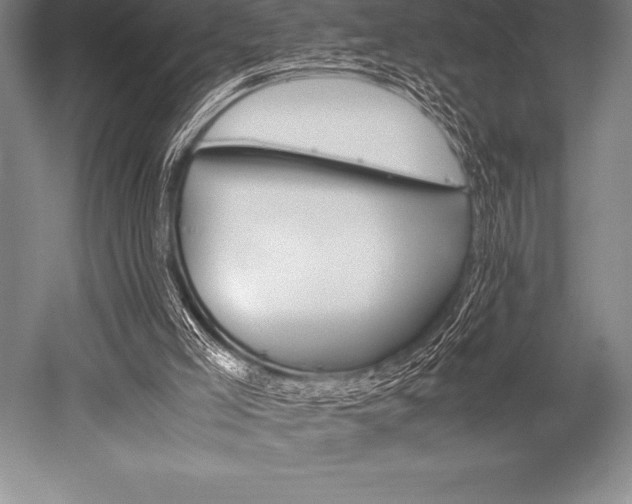 X0000052600005200507081832