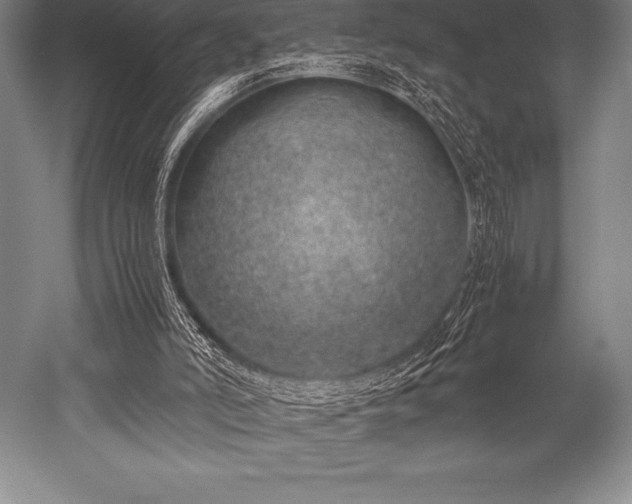 X0000052600006200507081832