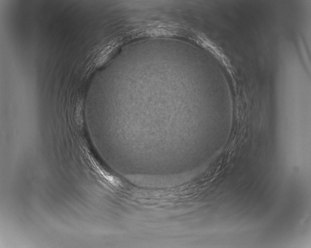 X0000052600009200507081832