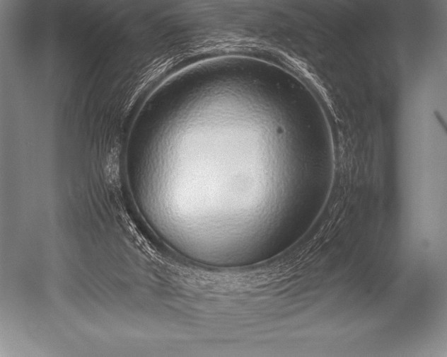 X0000052600010200507081832