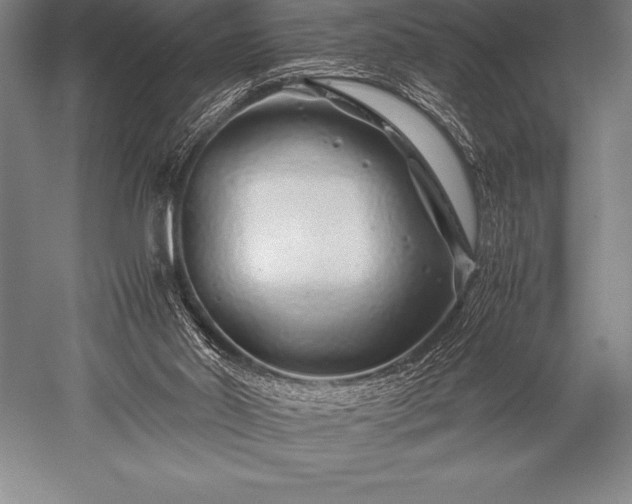 X0000052600014200507081832
