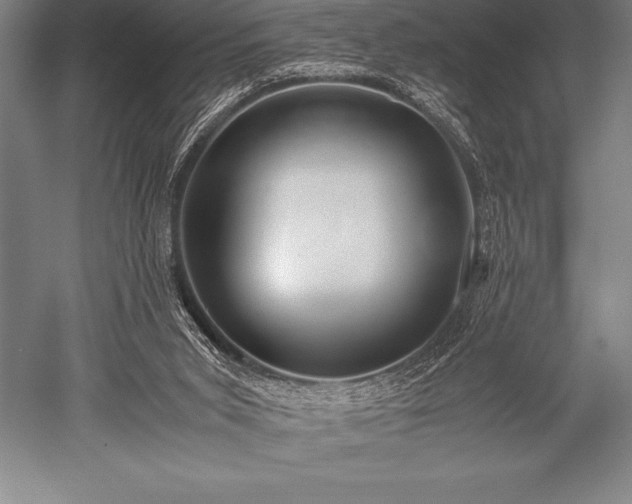 X0000052600015200507081832