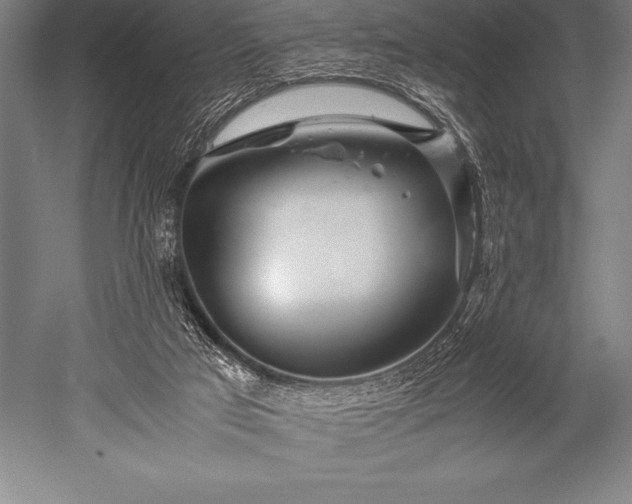X0000052600017200507081832