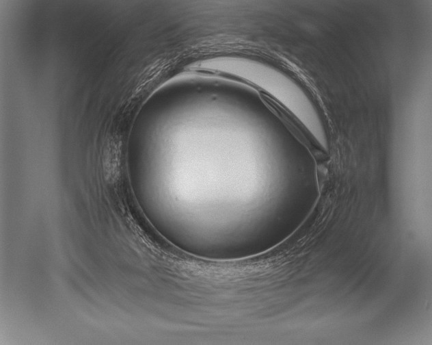 X0000052600018200507081832