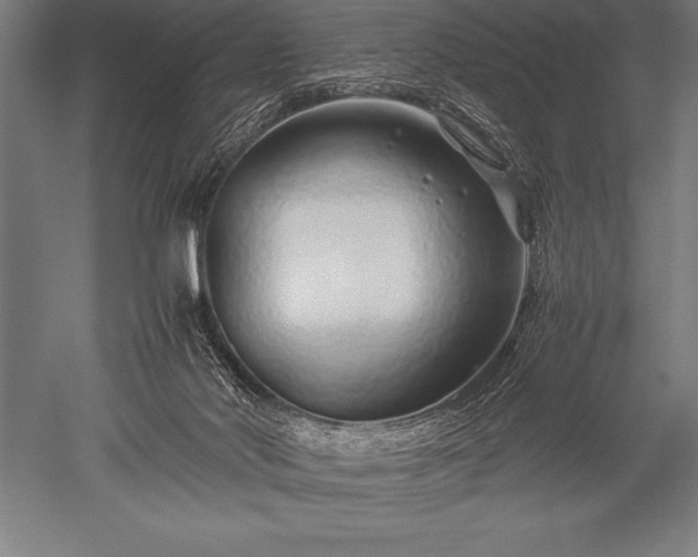 X0000052600022200507081832
