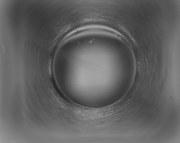 X0000052600023200507081832