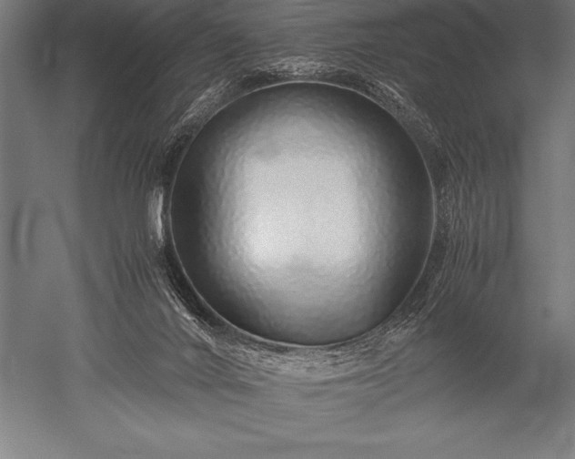 X0000052600024200507081832