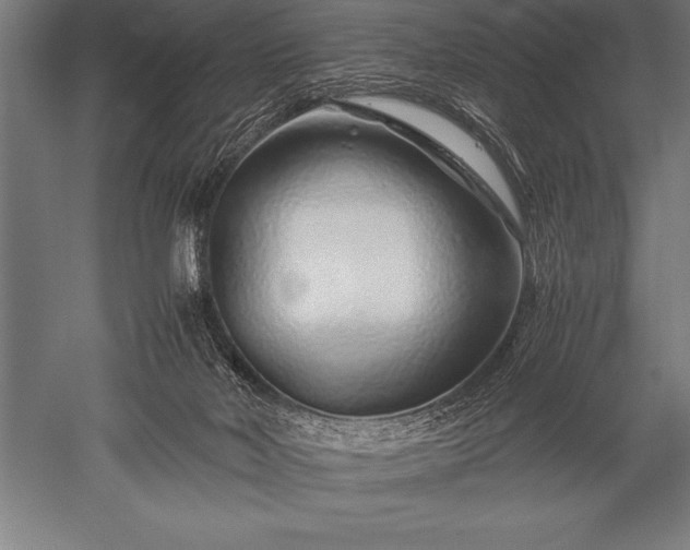 X0000052600026200507081832