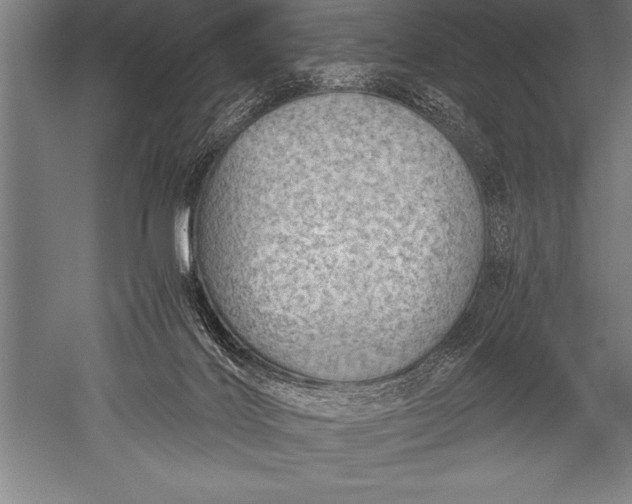 X0000052600028200507081832