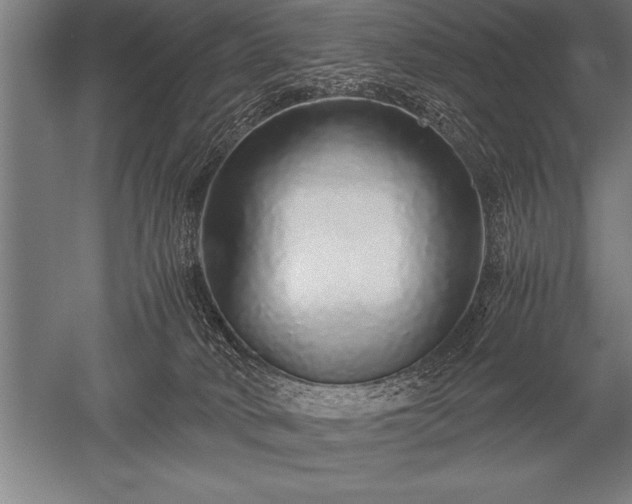 X0000052600034200507081832