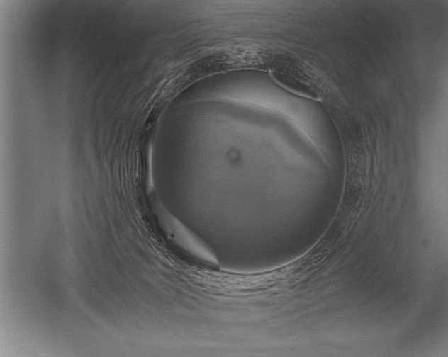 X0000052600035200507081832