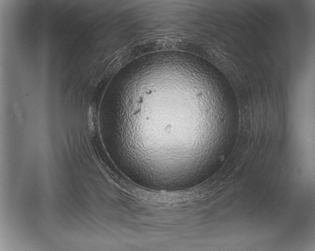 X0000052600038200507081832