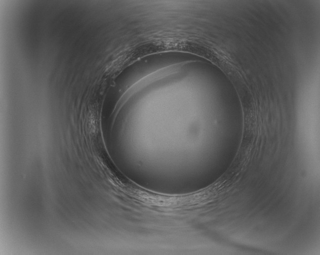 X0000052600039200507081832