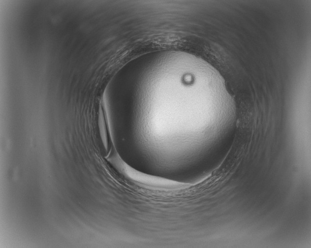 X0000052600040200507081832