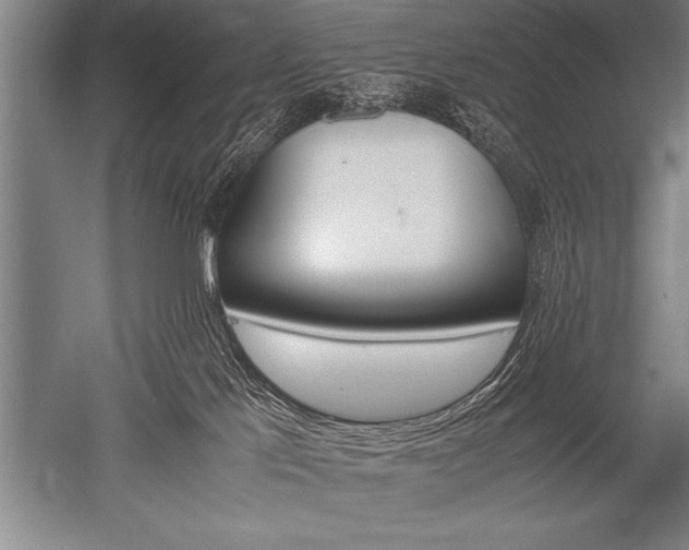 X0000052600041200507081832