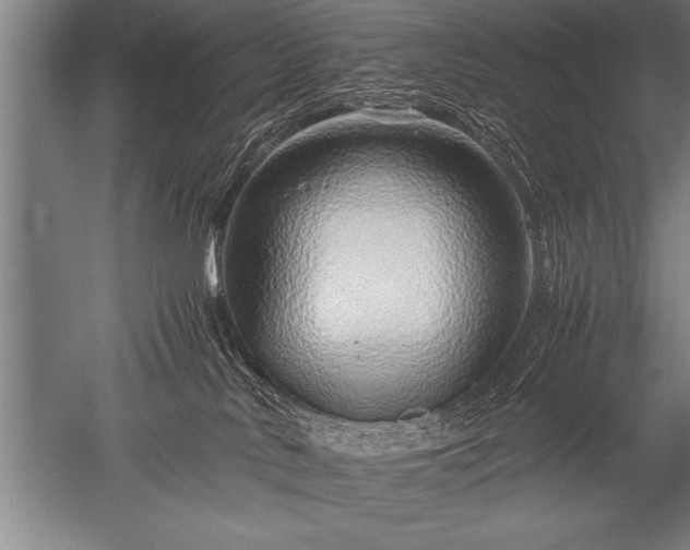 X0000052600042200507081832