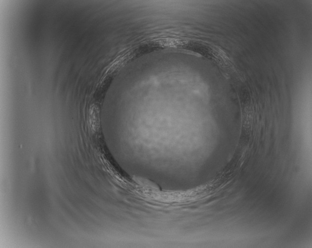 X0000052600043200507081832