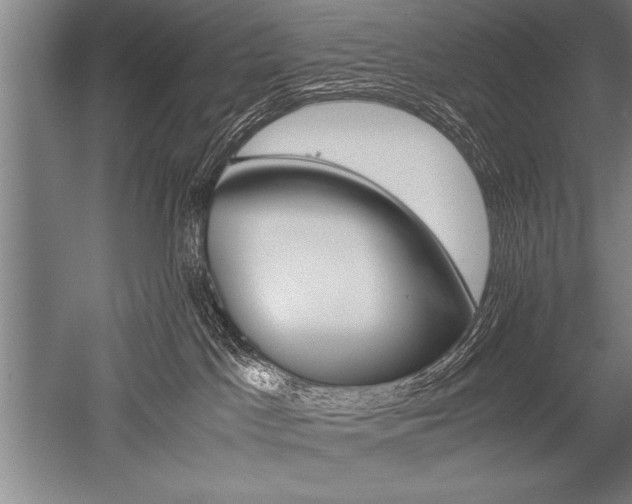 X0000052600045200507081832