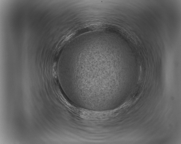 X0000052600048200507081832