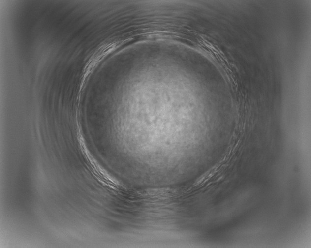 X0000052600049200507081831