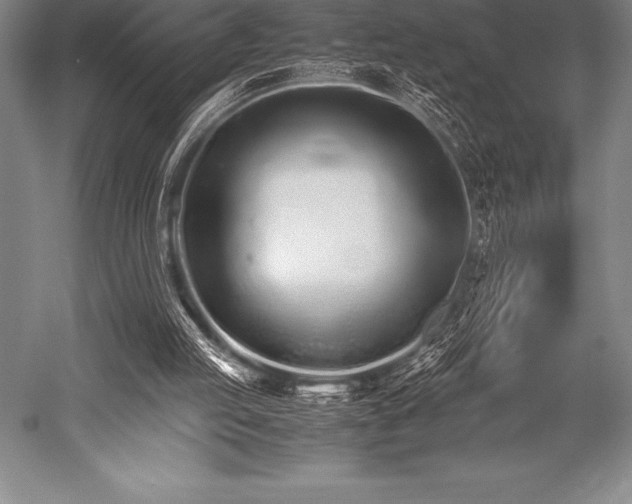 X0000052600053200507081831