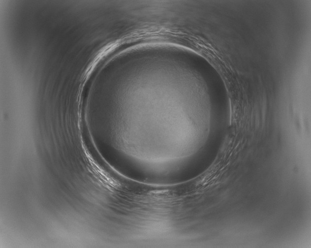 X0000052600054200507081831