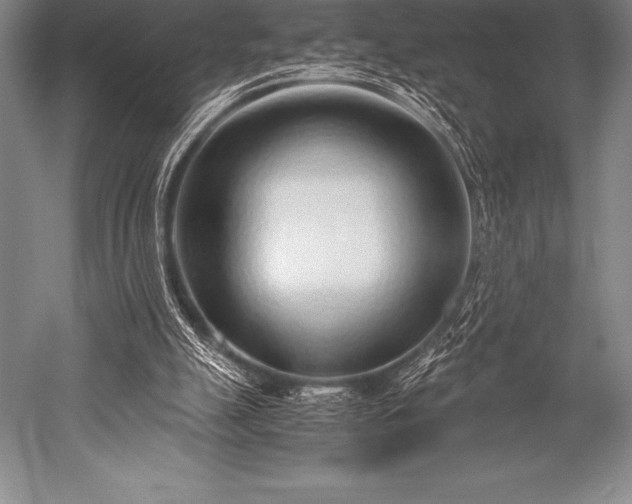 X0000052600055200507081831