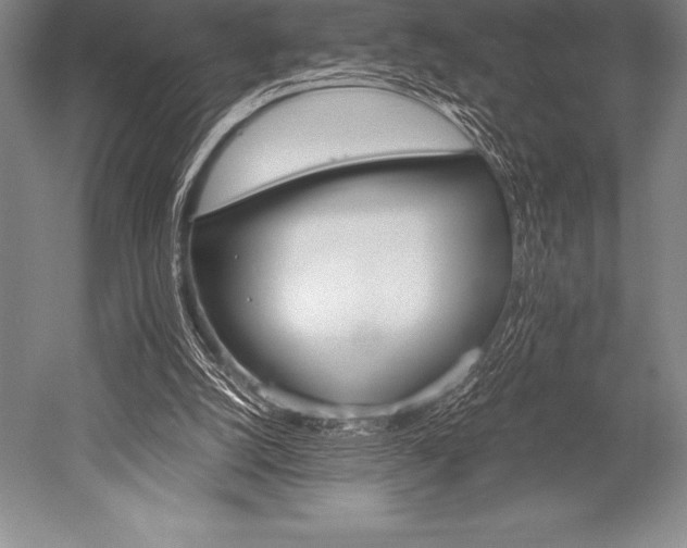 X0000052600056200507081831