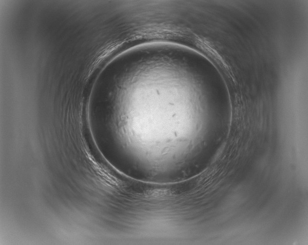 X0000052600058200507081831