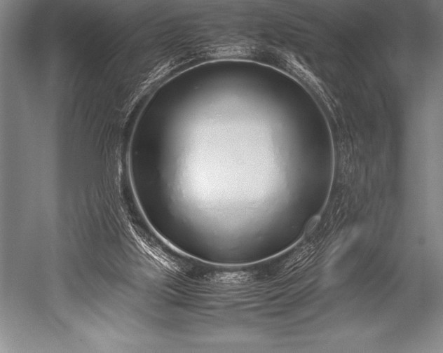 X0000052600059200507081831