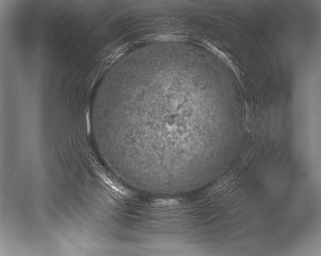 X0000052600061200507081831