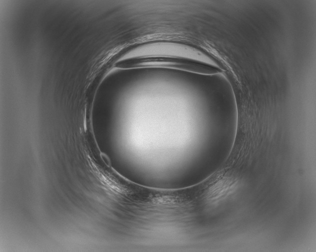 X0000052600062200507081831