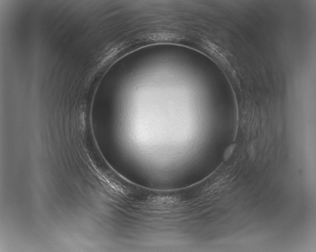 X0000052600063200507081831