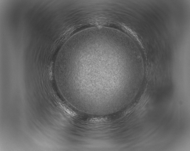 X0000052600065200507081831