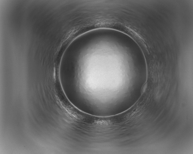 X0000052600067200507081831