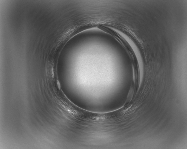 X0000052600068200507081831