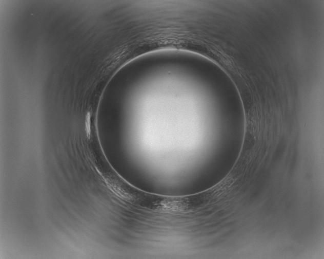 X0000052600070200507081831