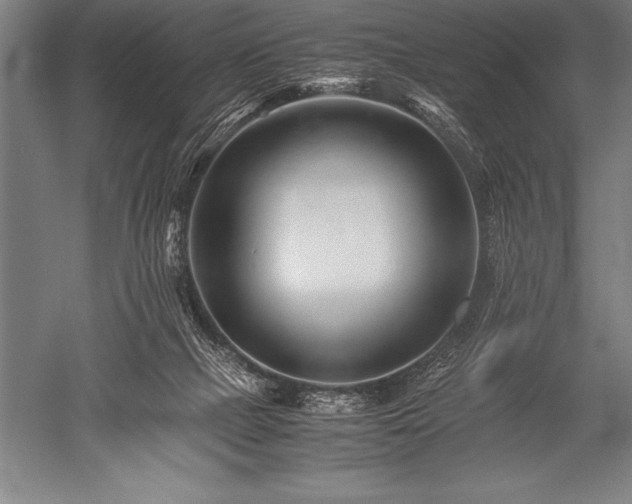 X0000052600073200507081831