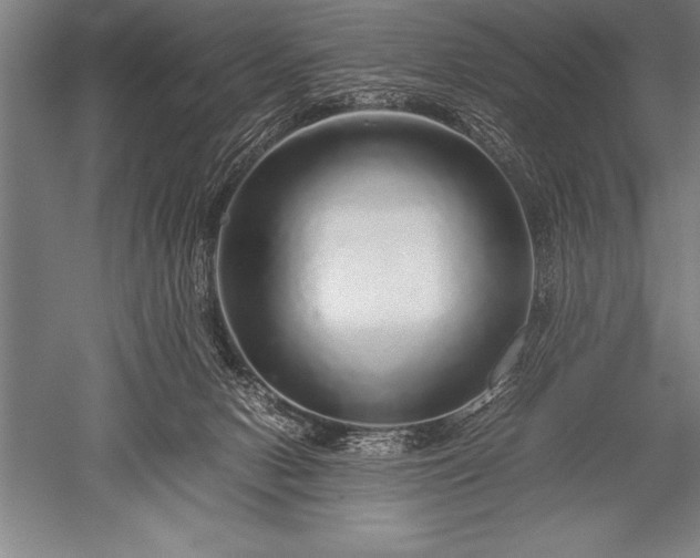 X0000052600078200507081831