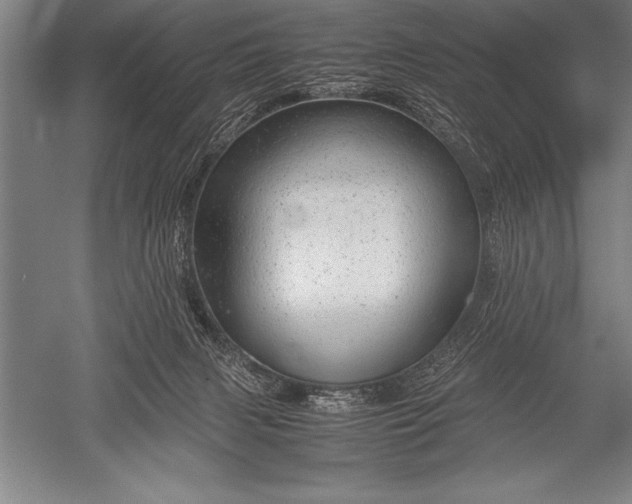 X0000052600079200507081831