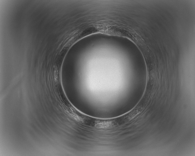 X0000052600081200507081831